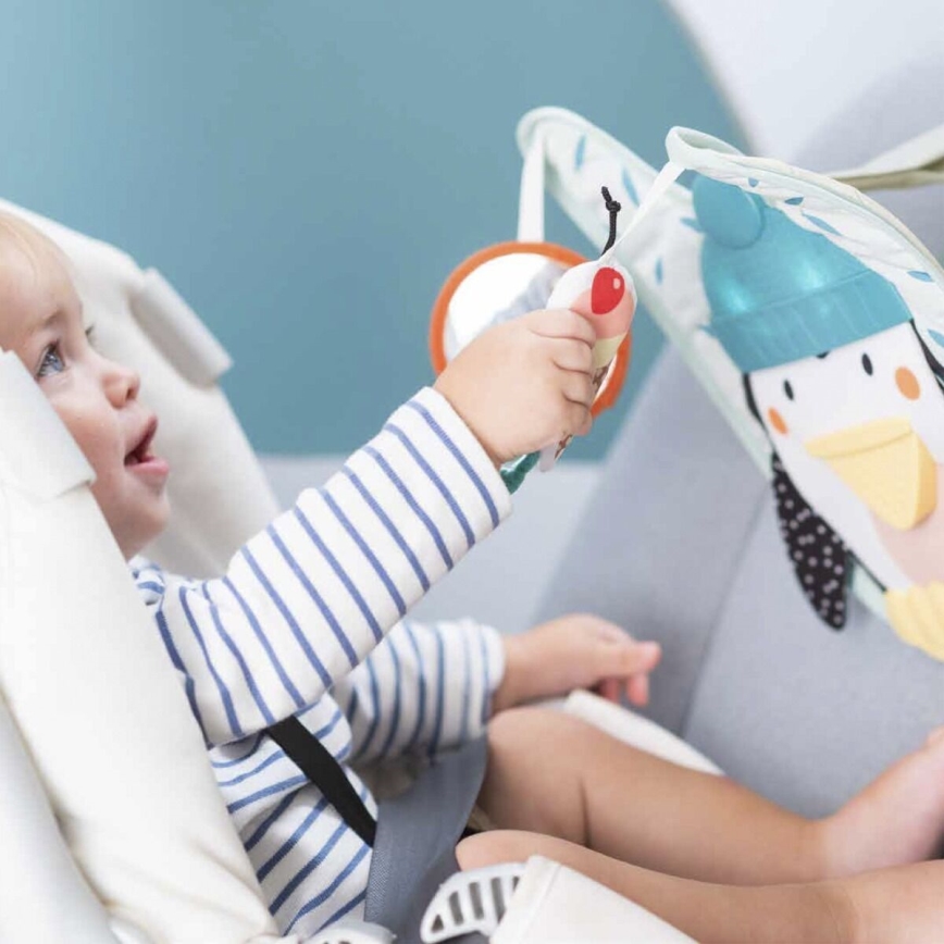 Taf Toys - Carrinho de brincar Play & Kick pinguim