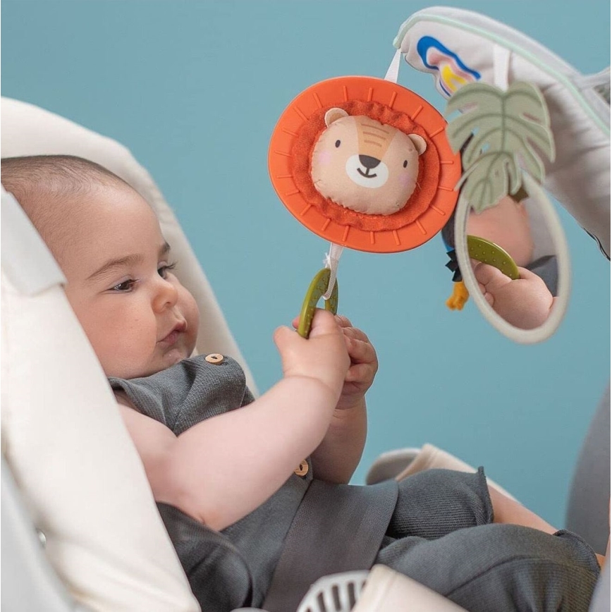 Taf Toys - Carrinho de brincar Play & Kick savana