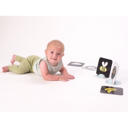 Taf Toys - Cartões para bebé de barriga para baixo 18 pçs