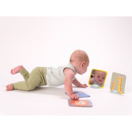 Taf Toys - Cartões para bebé de barriga para baixo 18 pçs
