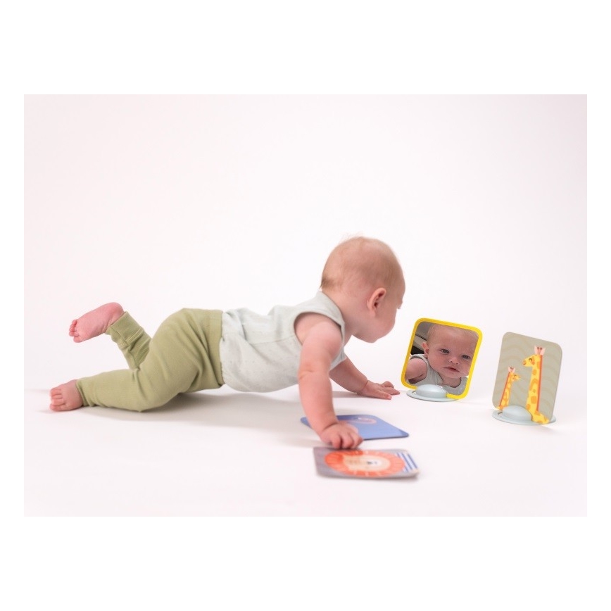 Taf Toys - Cartões para bebé de barriga para baixo 18 pçs