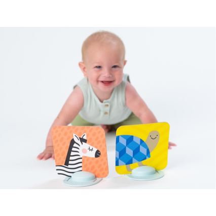 Taf Toys - Cartões para bebé de barriga para baixo 18 pçs