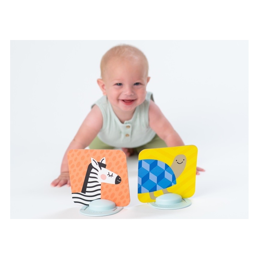 Taf Toys - Cartões para bebé de barriga para baixo 18 pçs