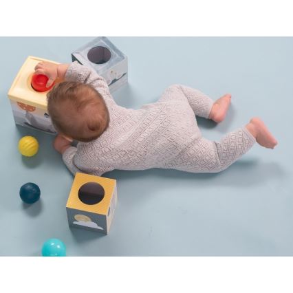Taf Toys - Conjunto para brincar interativo Pólo Norte