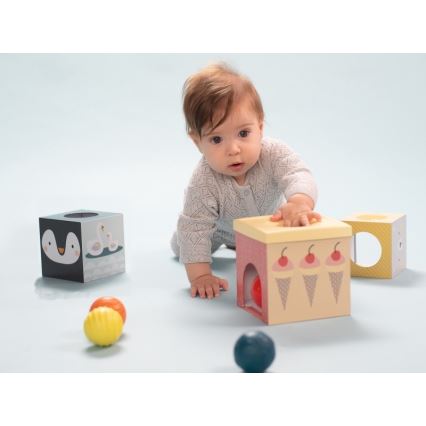 Taf Toys - Conjunto para brincar interativo Pólo Norte