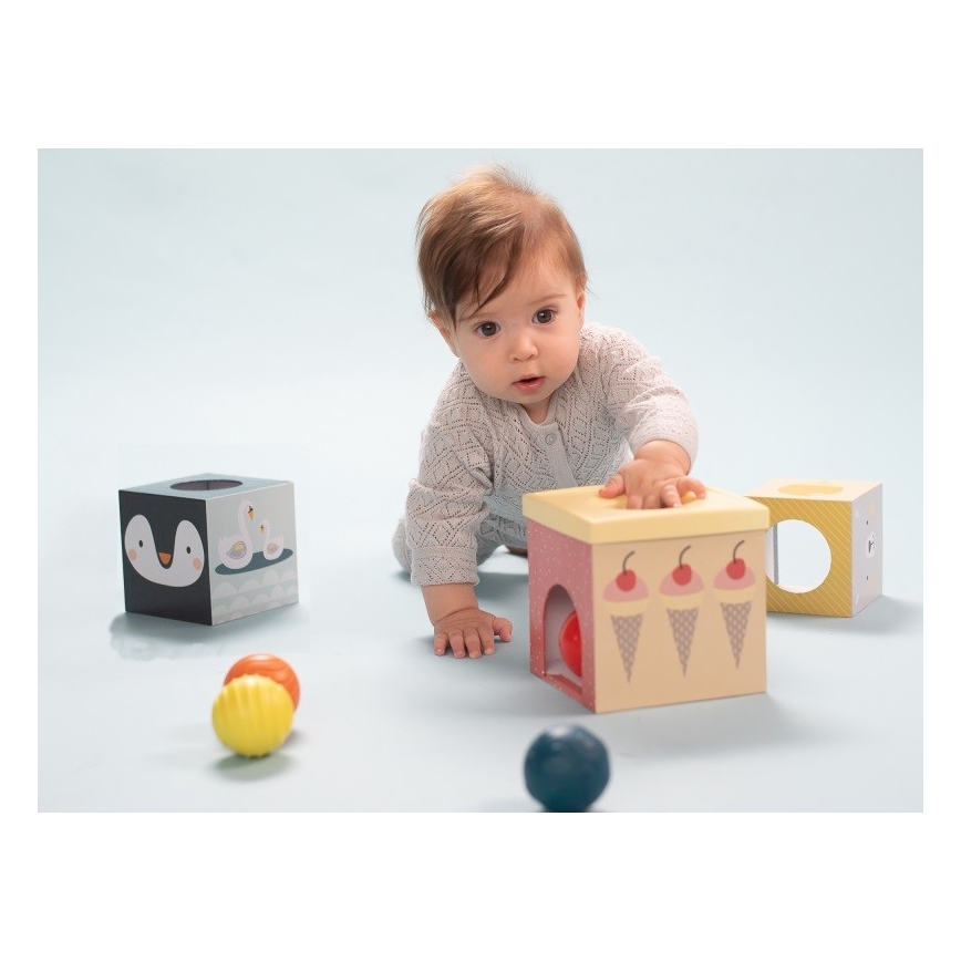 Taf Toys - Conjunto para brincar interativo Pólo Norte