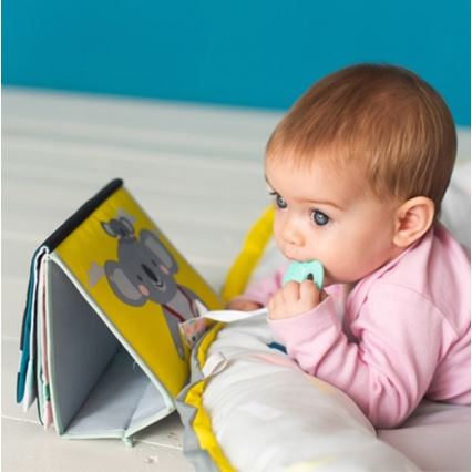 Taf Toys - Livro têxtil para crianças com espelho coala