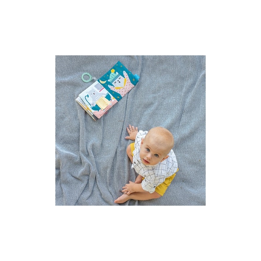 Taf Toys - Livro têxtil para crianças urso
