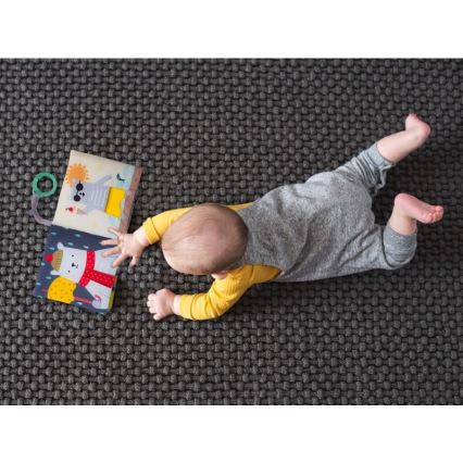 Taf Toys - Livro têxtil para crianças urso