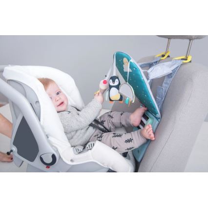 Taf Toys - Pólo Norte feet fun car toy