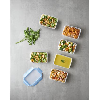 Tefal - CONJUNTO 6x Recipiente para alimentos 0,8 l MASTER SEAL FRESH azul