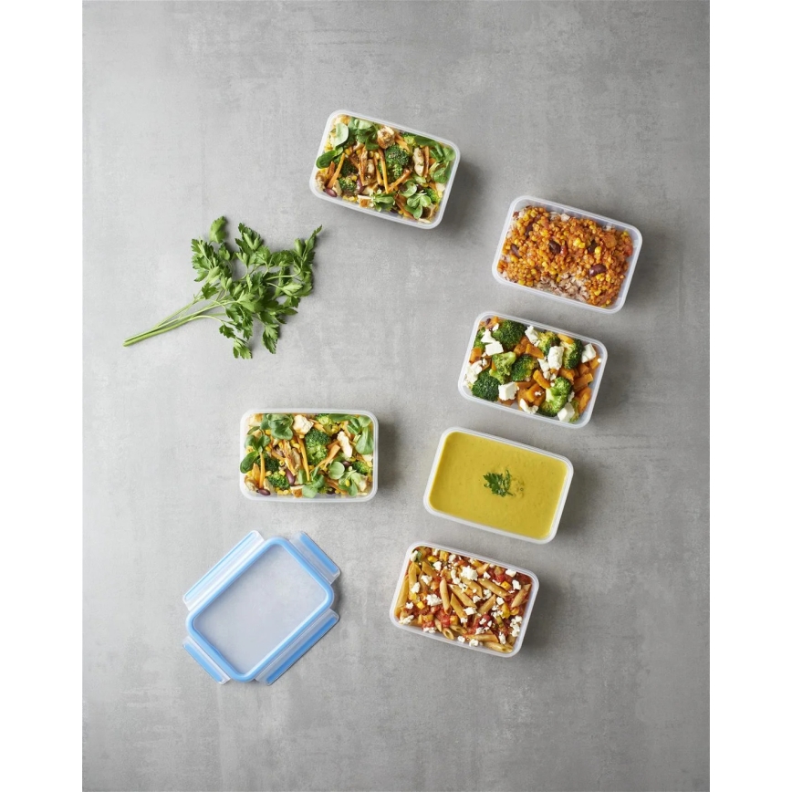 Tefal - CONJUNTO 6x Recipiente para alimentos 0,8 l MASTER SEAL FRESH azul