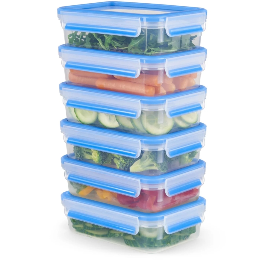 Tefal - CONJUNTO 6x Recipiente para alimentos 0,8 l MASTER SEAL FRESH azul