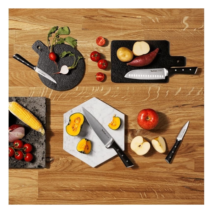 Tefal - Conjunto de facas de cozinha num suporte ICE FORCE 6 pçs