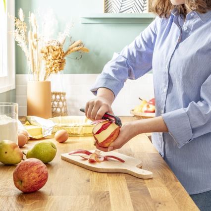 Tefal - Descascador de cozinha INGENIO aço inoxidável/preto