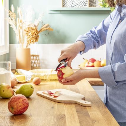 Tefal - Descascador de cozinha INGENIO aço inoxidável/preto