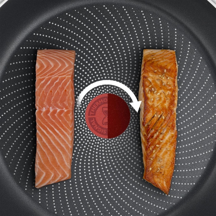 Tefal - Frigideira DELICIOUS 20 cm
