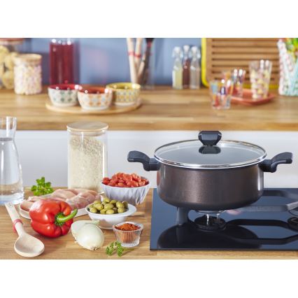 Tefal - Pote com uma tampa EASY COOK & CLEAN 24 cm