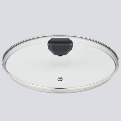 Tefal - Pote com uma tampa EASY COOK & CLEAN 24 cm