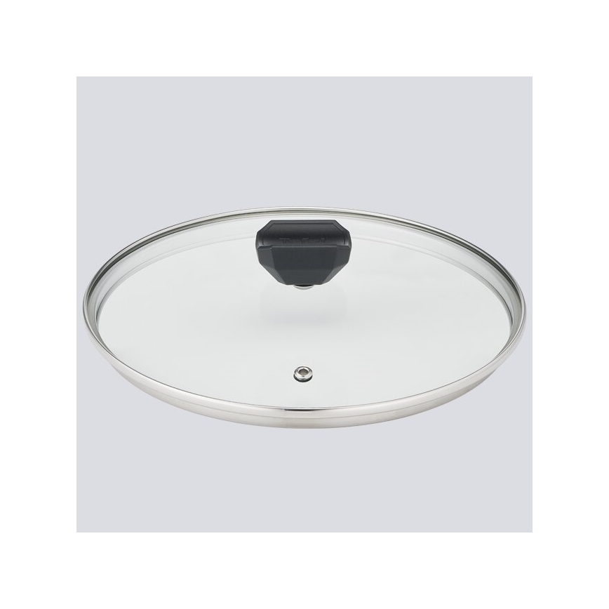 Tefal - Pote com uma tampa EASY COOK & CLEAN 24 cm