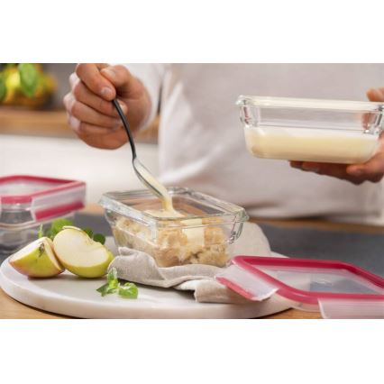 Tefal - Recipiente para alimentos 0,45 l MSEAL GLASS vermelho/copo