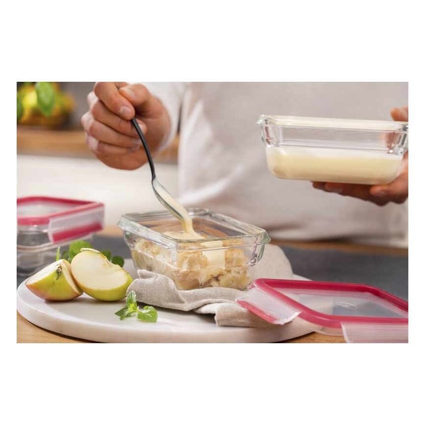 Tefal - Recipiente para alimentos 0,45 l MSEAL GLASS vermelho/copo