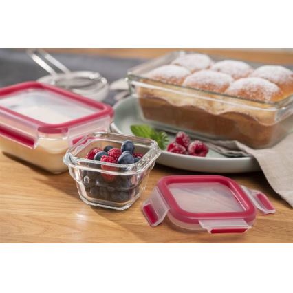 Tefal - Recipiente para alimentos 0,45 l MSEAL GLASS vermelho/copo