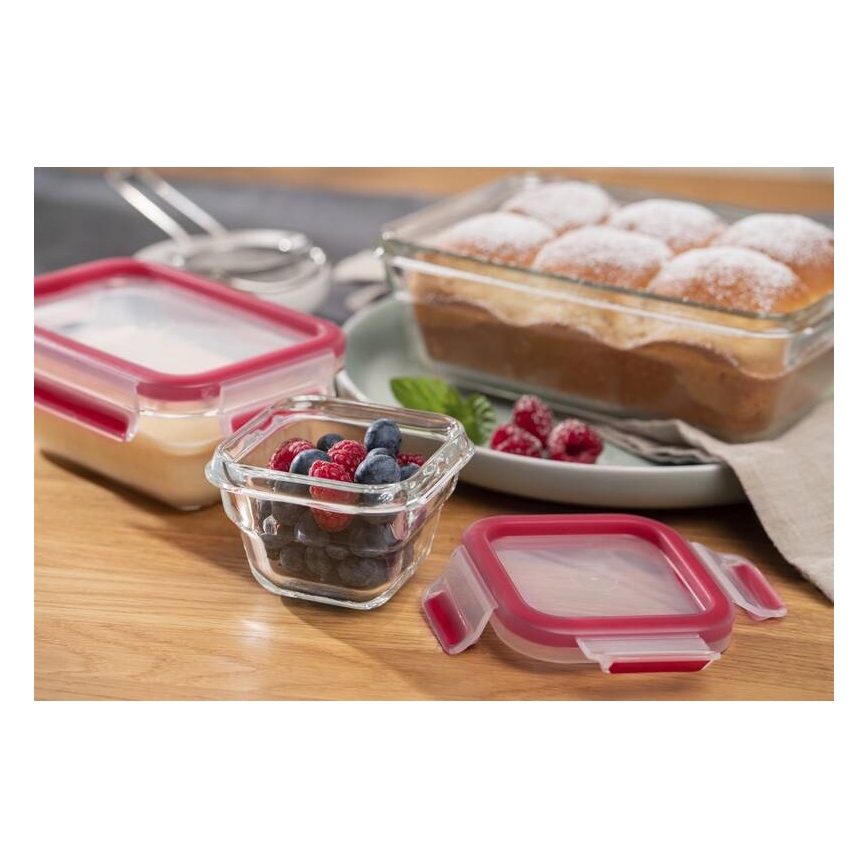 Tefal - Recipiente para alimentos 0,45 l MSEAL GLASS vermelho/copo
