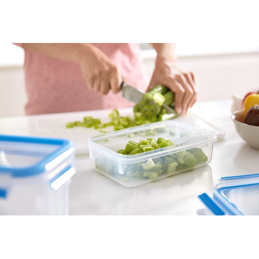 Tefal - Recipiente para alimentos 3,7 l MASTER SEAL FRESH azul