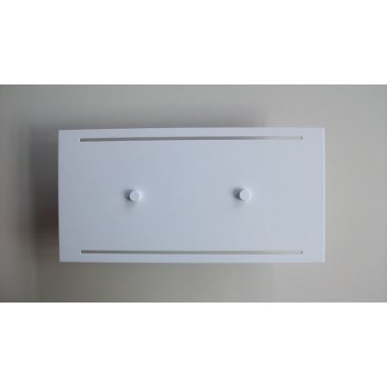 Telefunken 307806TF - Iluminação de parede exterior LED 2xLED/3,5W/230V IP44 branco