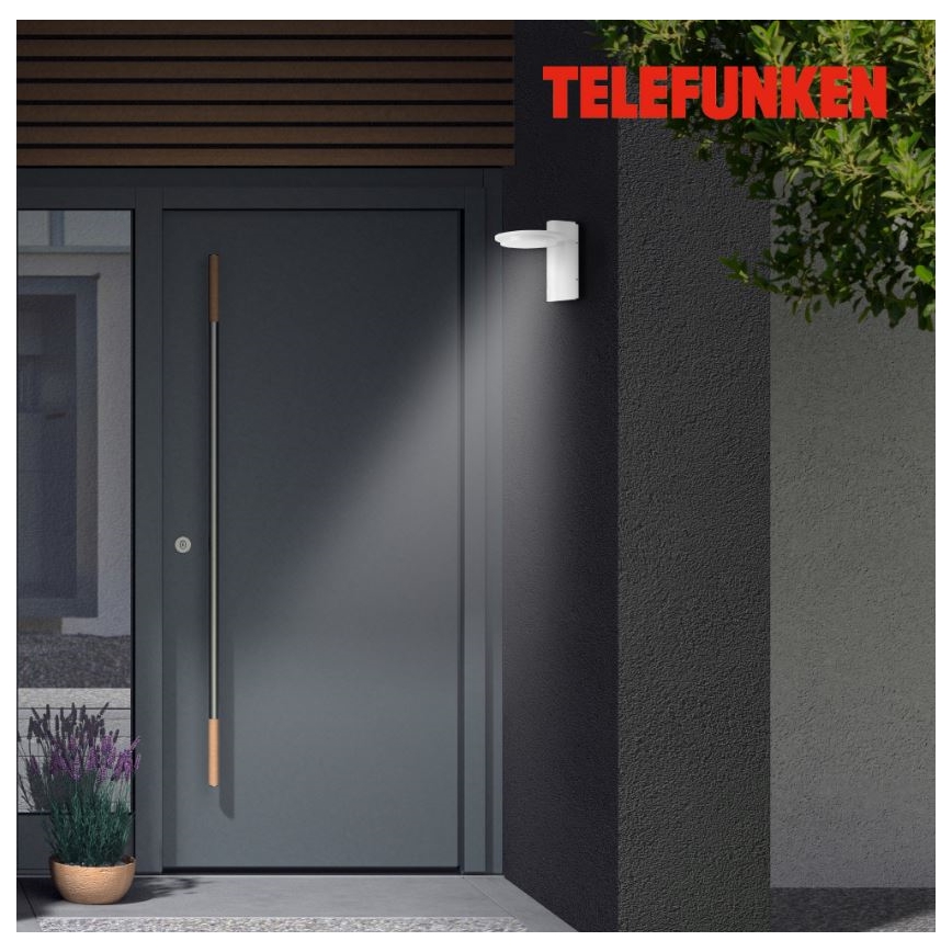 Telefunken 312406TF - Iluminação de parede exterior LED LED/10W/230V IP44