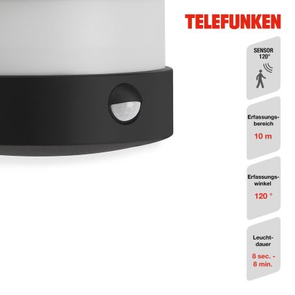 Telefunken 315505TF - LED Iluminação de parede exterior com sensor LED/12W/230V IP44 preto