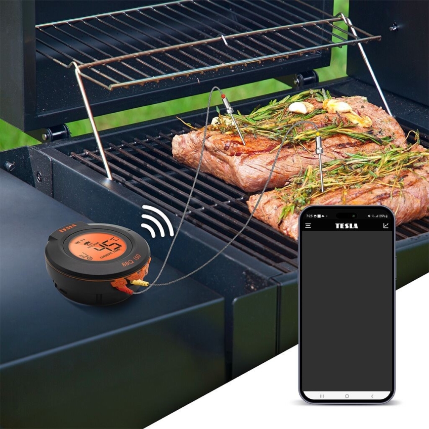 TESLA Electronics Cook - Termómetro digital para carnes com sonda 0-400 °C 2xAA IP65