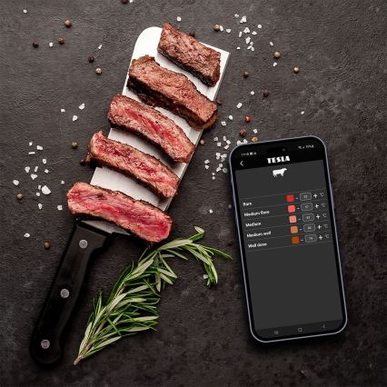 TESLA Electronics Cook - Termómetro digital para carnes com sonda 0-400 °C 2xAA IP65