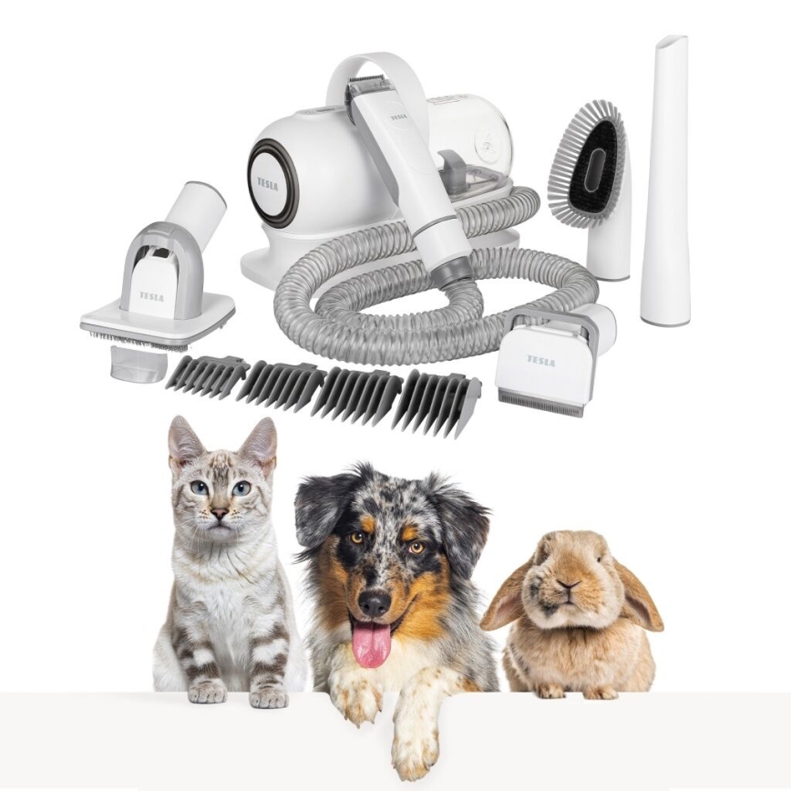 TESLA Electronics PetCare - Kit de limpeza para animais de estimação 300W/230V