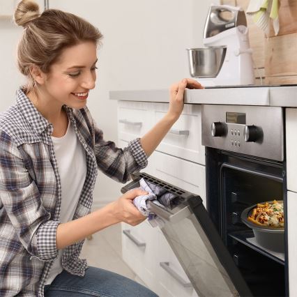 TESLA Electronics SlowCook - Panela de cozedura lenta 6,5 l 270W/230V
