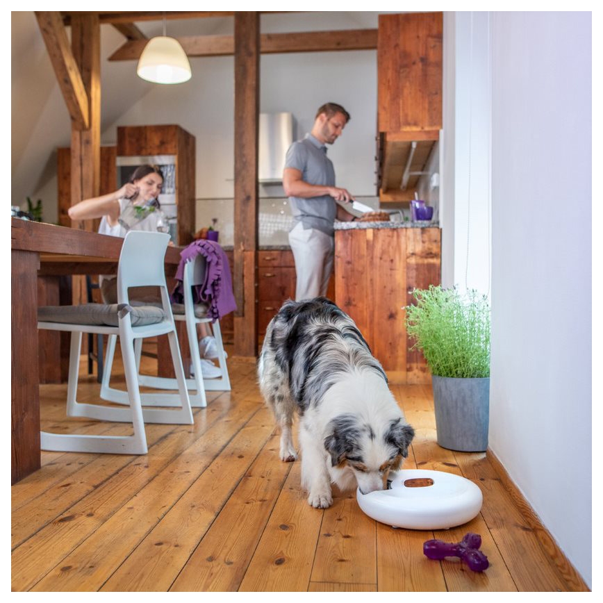 TESLA Smart - Alimentador automático inteligente com uma câmara para animais de estimação 4 l 5V/3xLR20 Wi-Fi