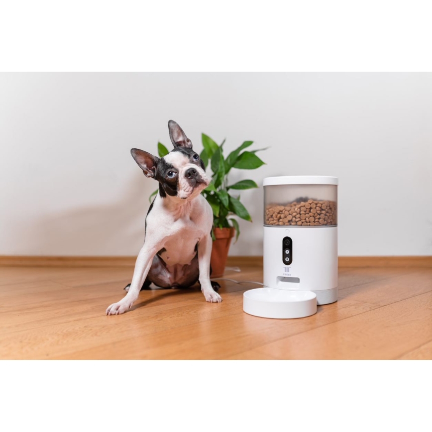 TESLA Smart - Alimentador automático inteligente com uma câmara para animais de estimação 4 l 5V/3xLR20 Wi-Fi