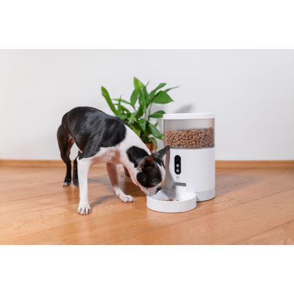TESLA Smart - Alimentador automático inteligente com uma câmara para animais de estimação 4 l 5V/3xLR20 Wi-Fi