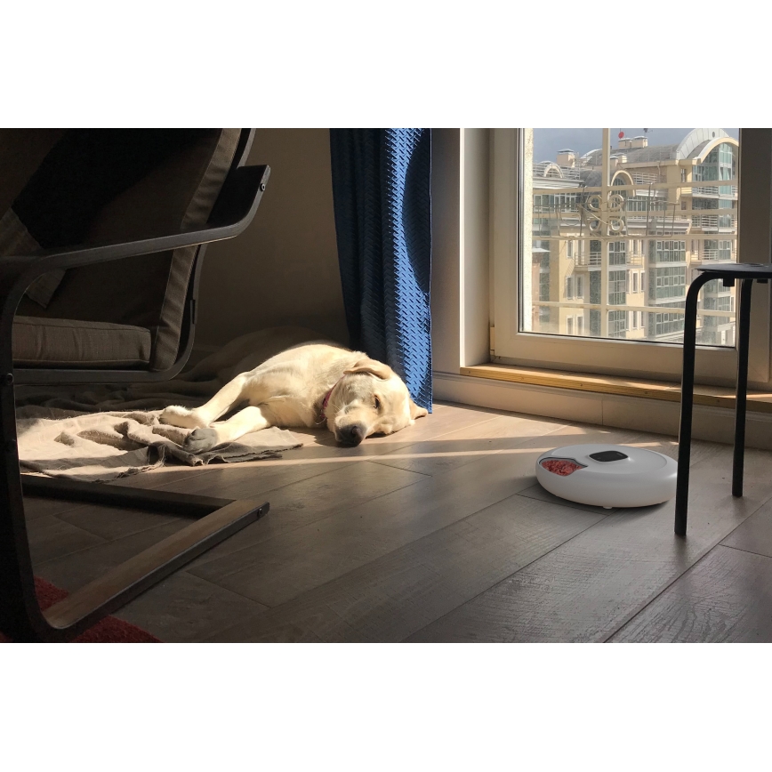 TESLA Smart - Alimentador inteligente de animal de estimação 170 ml 5V