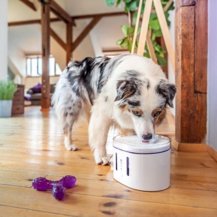 TESLA Smart - Fonte inteligente para animais de estimação com esterilização UV 2,5 l 5V Wi-Fi