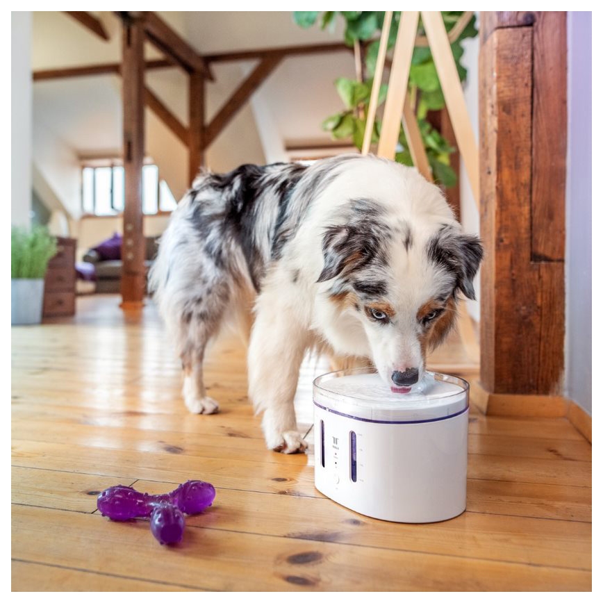 TESLA Smart - Fonte inteligente para animais de estimação com esterilização UV 2,5 l 5V Wi-Fi