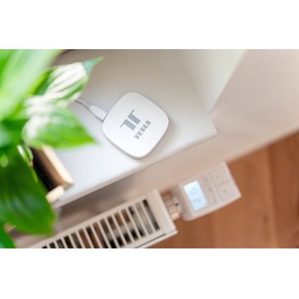 TESLA Smart - Gateway inteligente Hub Smart Zigbee Wi-Fi