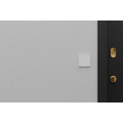 TESLA Smart - Interruptor doméstico inteligente 1P 230V Wi-Fi