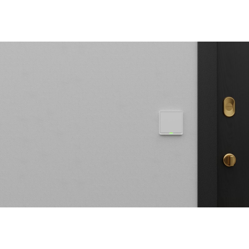 TESLA Smart - Interruptor doméstico inteligente 1P 230V Wi-Fi