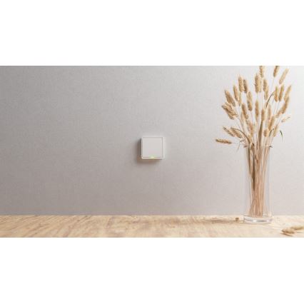 TESLA Smart - Interruptor doméstico inteligente 1P 230V Zigbee