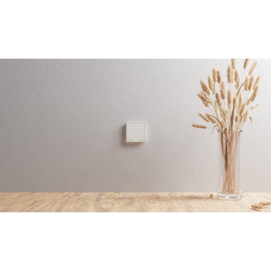 TESLA Smart - Interruptor doméstico inteligente 1P 230V Zigbee