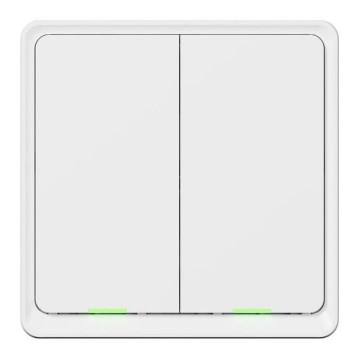 TESLA Smart - Interruptor doméstico inteligente 2P 230V Wi-Fi