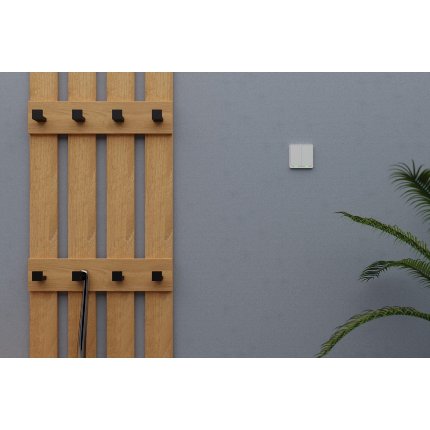 TESLA Smart - Interruptor doméstico inteligente 2P 230V Wi-Fi