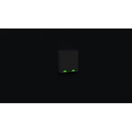 TESLA Smart - Interruptor doméstico inteligente 2P 230V Wi-Fi